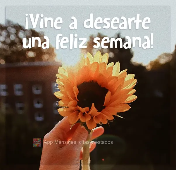 ¡Vine a desearte una feliz semana!
