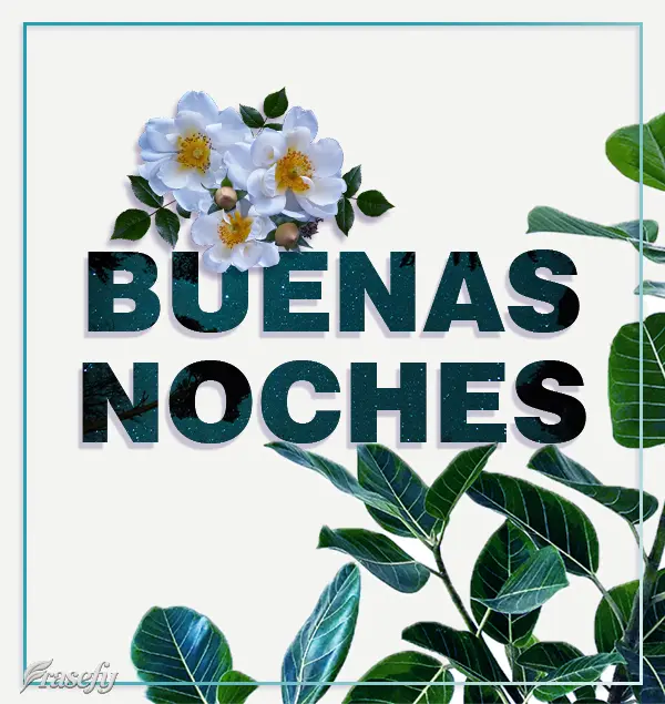 BUENAS NOCHES