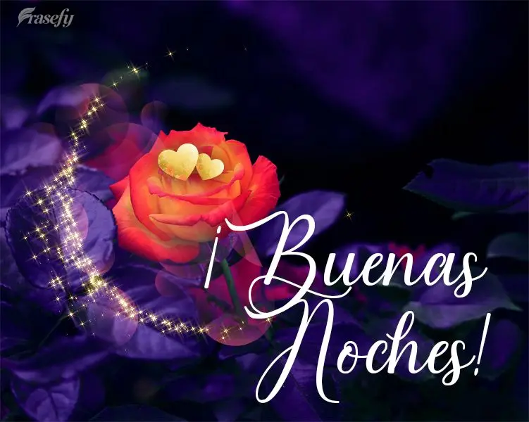 ¡Buenas noches!
