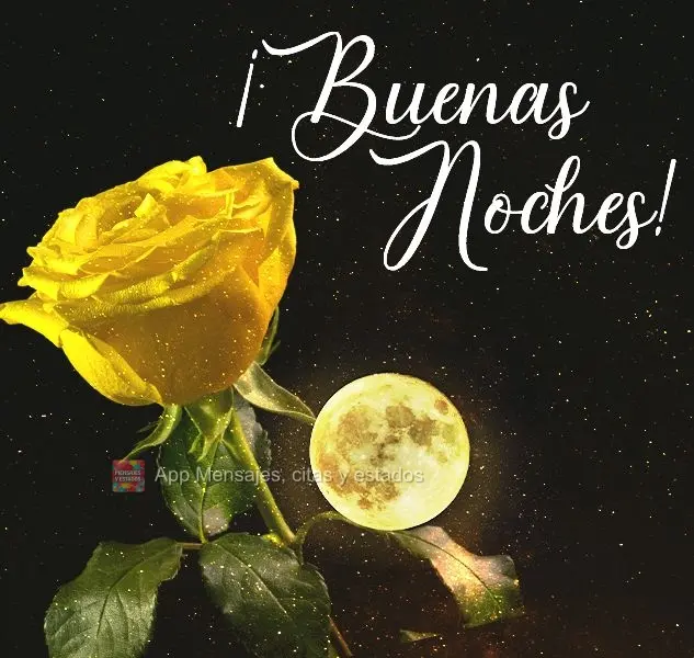 ¡Buenas noches!