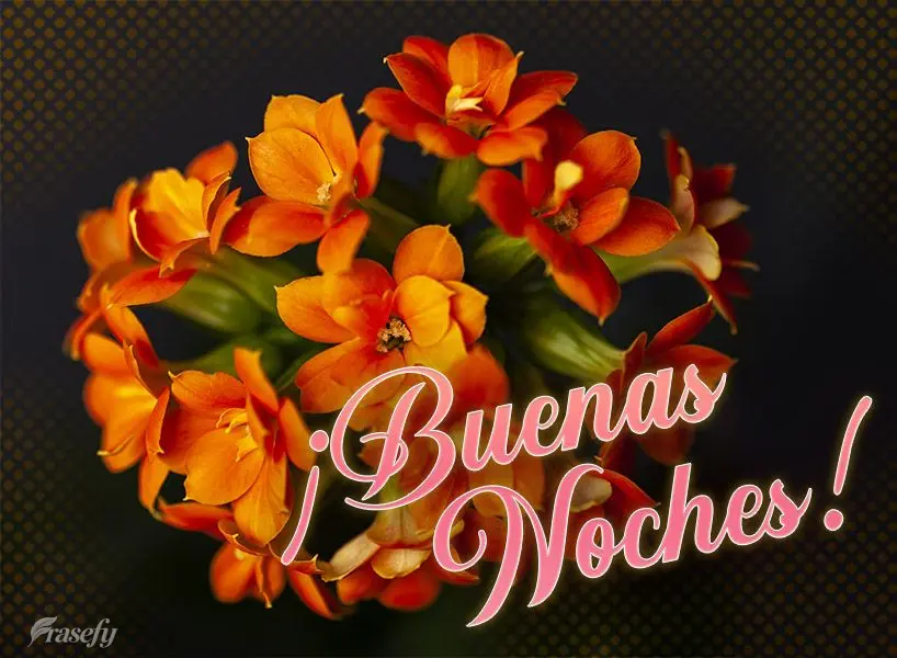 ¡Buenas noches!