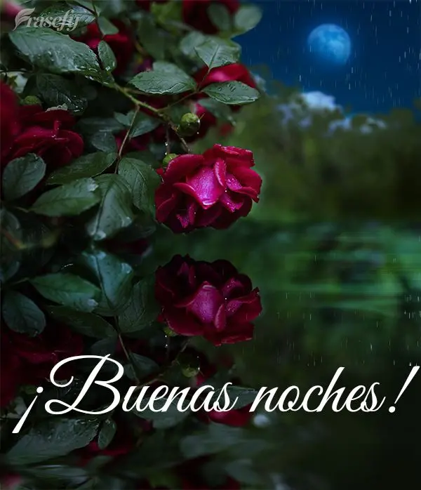 ¡Buenas noches!