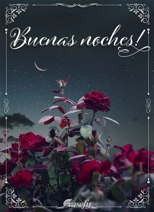 ¡Buenas noches!