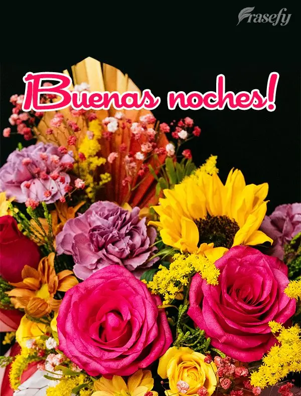 ¡Buenas noches!