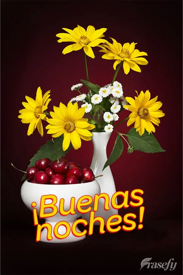 ¡Buenas noches!