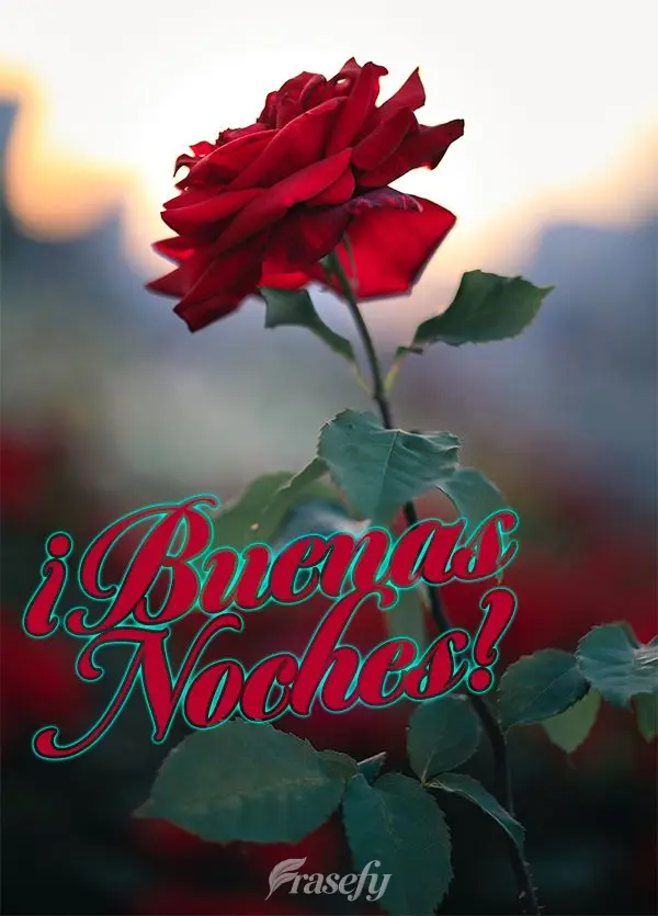 ¡Buenas noches!
