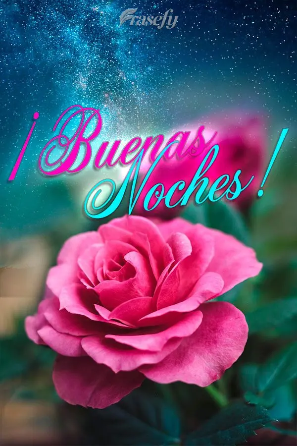 ¡Buenas noches!