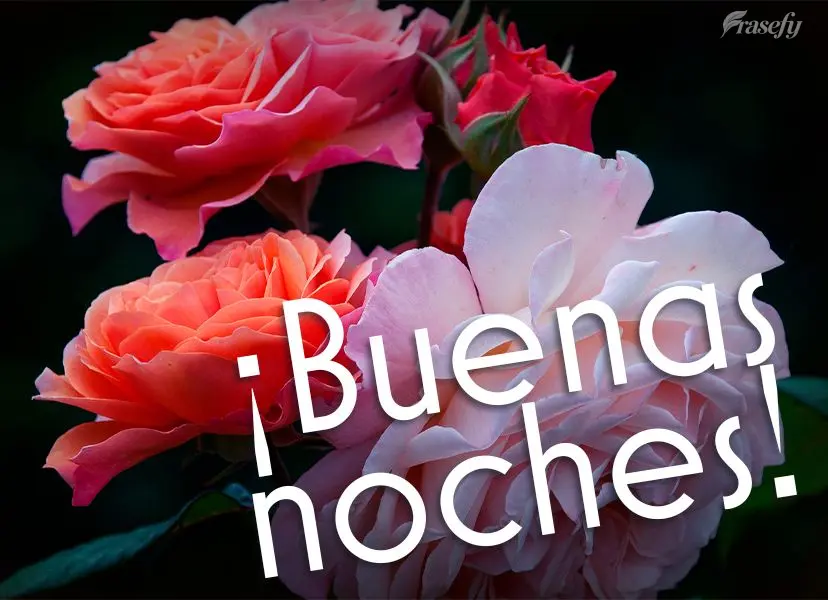 ¡Buenas noches!