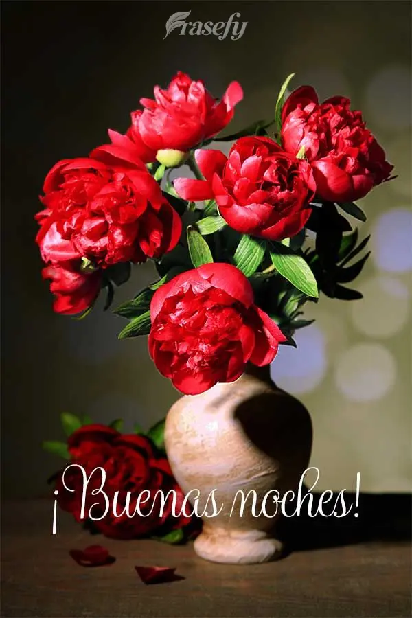 ¡Buenas noches!