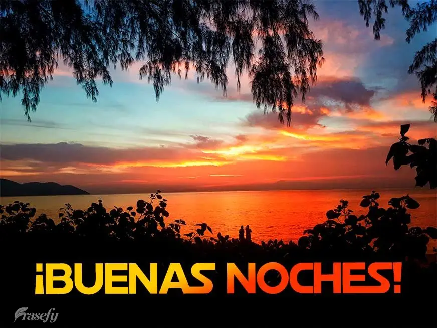 ¡Buenas noches!