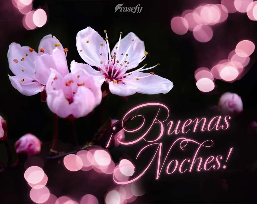 ¡Buenas noches!