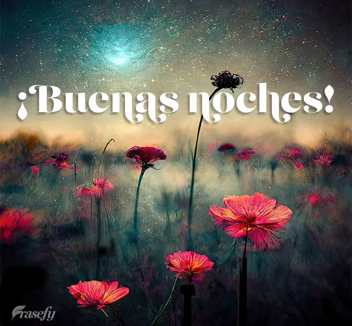 ¡Buenas noches!