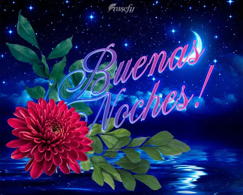 ¡Buenas noches!