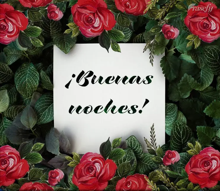 ¡Buenas noches!