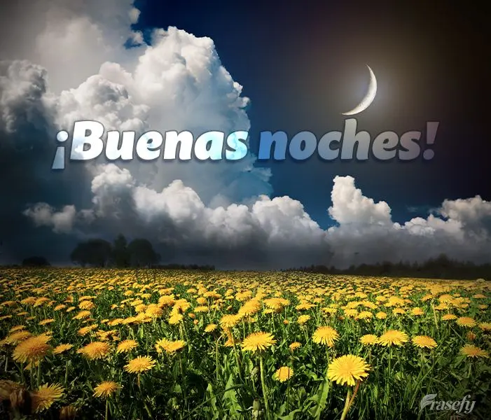 ¡Buenas noches!