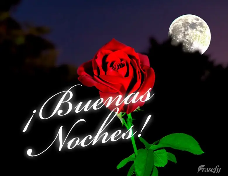 ¡Buenas noches!