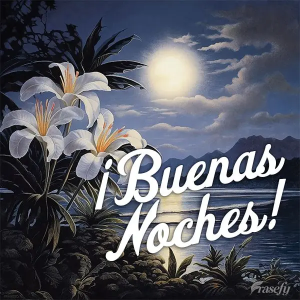 ¡Buenas noches!
