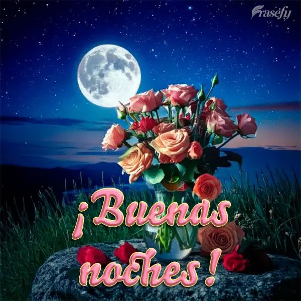 ¡Buenas noches!