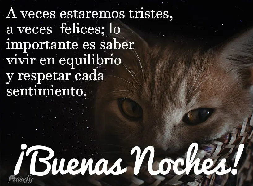 A veces estaremos tristes, a veces  felices; lo importante es saber vivir en equilibrio y respetar cada sentimiento. ¡Buenas noches!