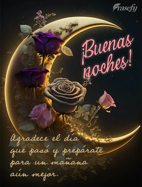 Agradece el día que pasó y prepárate para un mañana aún mejor. ¡Buenas noches!