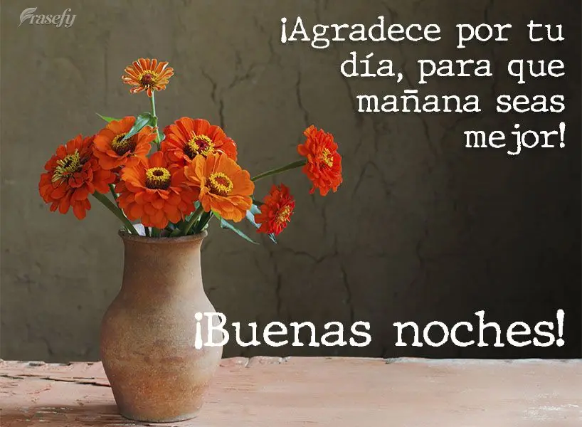 ¡Agradece por tu día, para que mañana seas mejor! ¡Buenas noches!