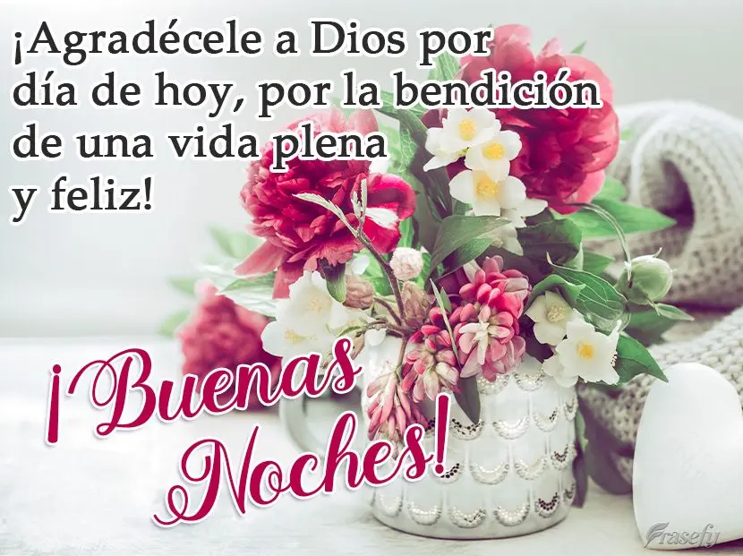 ¡Agradécele a Dios por el día de hoy, por la bendición de una vida plena y feliz! ¡Buenas noches!