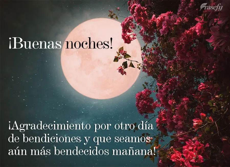 ¡Agradecimiento por otro día de bendiciones y que seamos aún más bendecidos mañana! ¡Buenas noches!