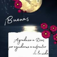 ¡Agradezco a Dios por ayudarme a enfrentar los desafíos de la vida y seguir siempre con fe! ¡Buenas noches!