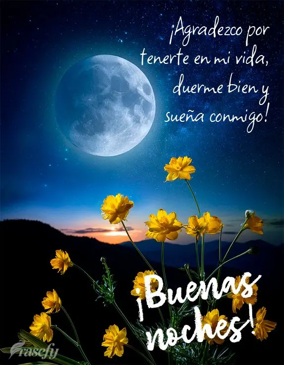 ¡Agradezco por tenerte en mi vida, duerme bien y sueña conmigo! ¡Buenas noches!