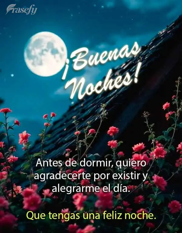 Antes de dormir, quiero agradecerte por existir y alegrarme el día. Que tengas una feliz noche. ¡Buenas noches!