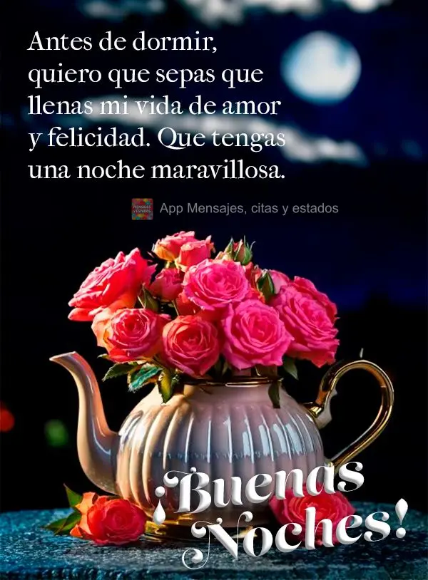 Antes de dormir, quiero que sepas que llenas mi vida de amor y felicidad. Que tengas una noche maravillosa. ¡Buenas noches!