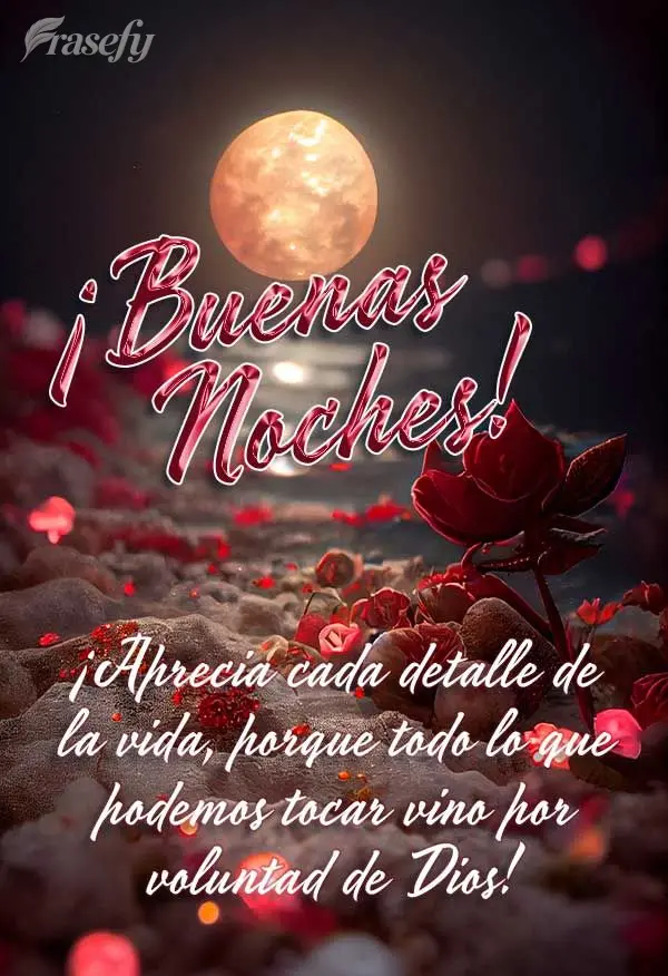 ¡Aprecia cada detalle de la vida, porque todo lo que podemos tocar vino por voluntad de Dios! ¡Buenas noches!
