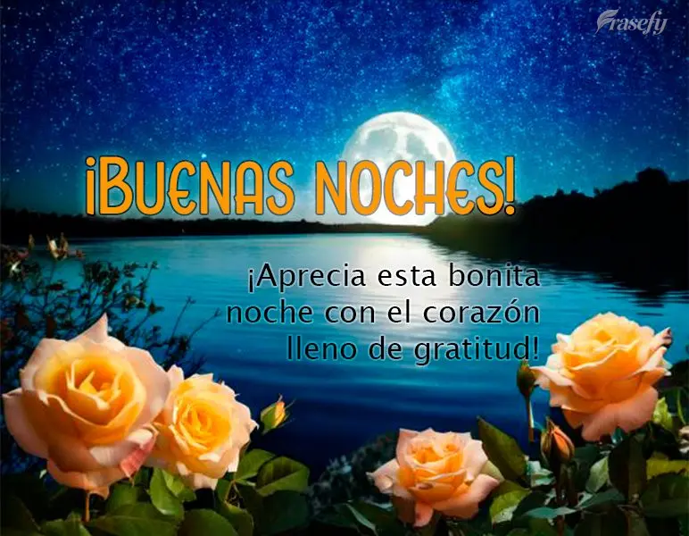 ¡Aprecia esta bonita noche con el corazón lleno de gratitud! ¡Buenas noches!