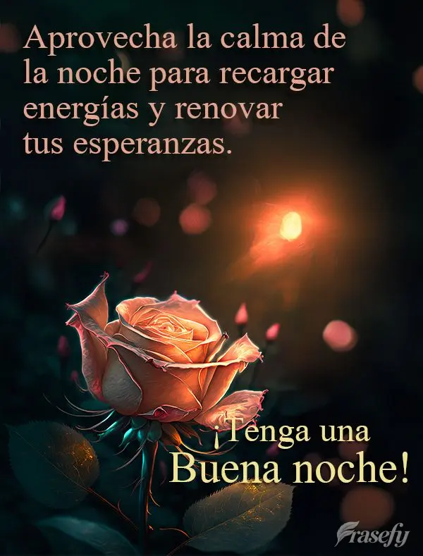Aprovecha la calma de la noche para recargar energías y renovar tus esperanzas. ¡Tenga una buena noche!