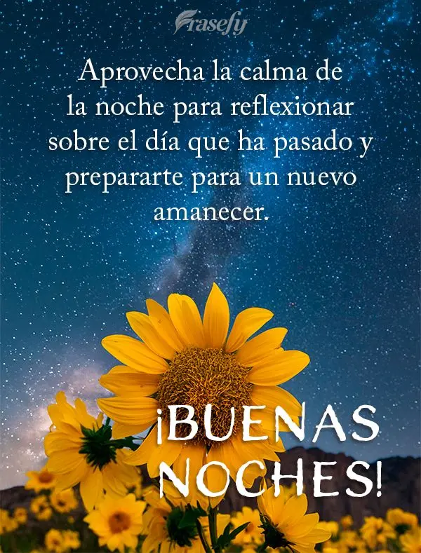 Aprovecha la calma de la noche para reflexionar sobre el día que ha pasado y prepararte para un nuevo amanecer. ¡Buenas noches!