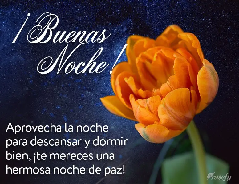 Aprovecha la noche para descansar y dormir bien, ¡te mereces una hermosa noche de paz! ¡Buenas noche!