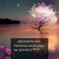 ¡Aproveche esta hermosa noche para dar gracias y decir sus oraciones con paz en su corazón y confiado en que Dios está escuchando sus oraciones! ¡Bue...