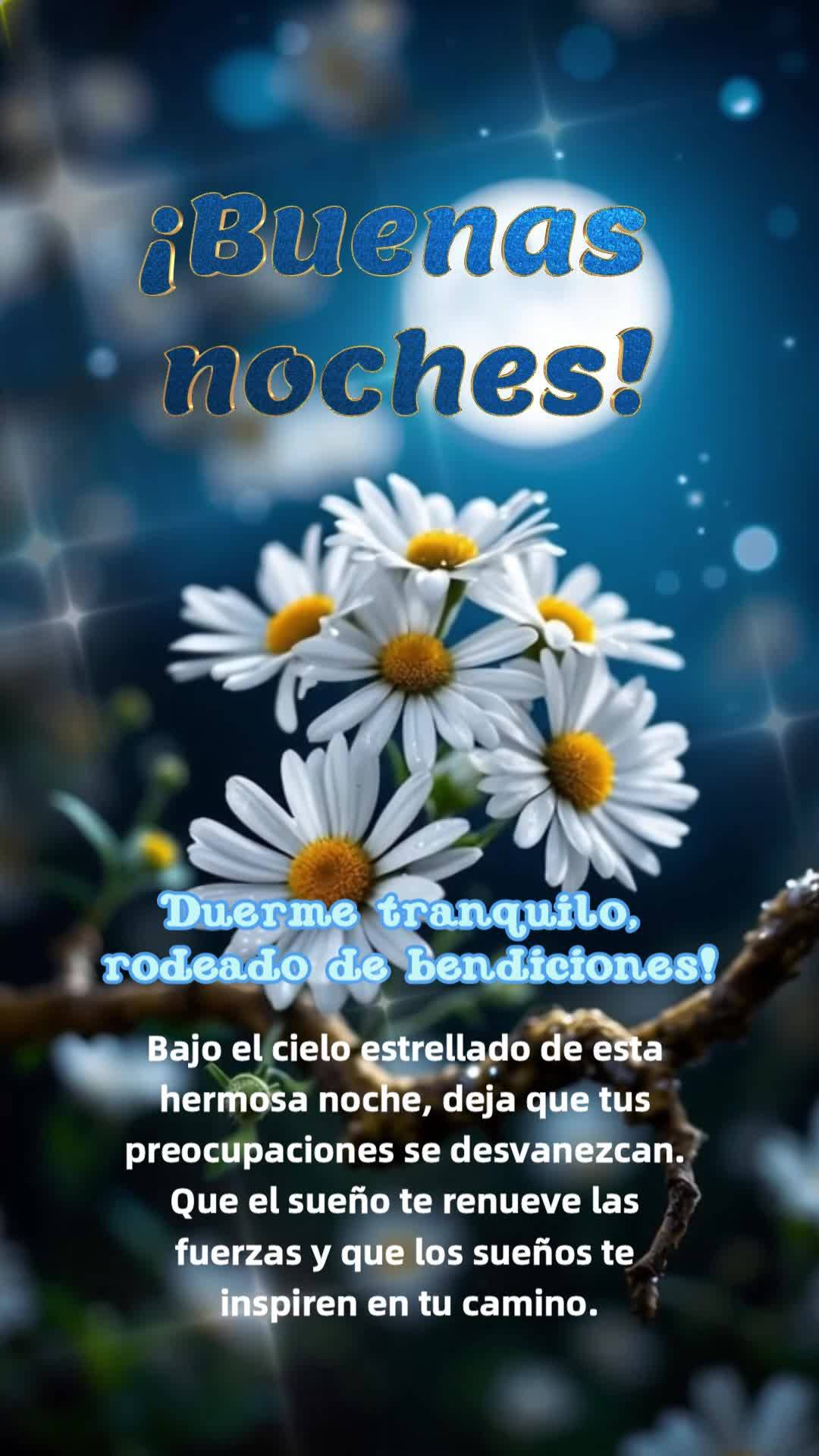 Bajo el cielo estrellado de esta hermosa noche, deja que tus preocupaciones se desvanezcan. Que el sueño te renueve las fuerzas y que los sueños te ins...