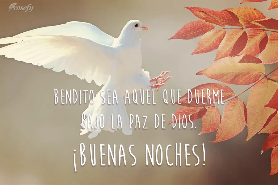 Bendito sea aquel que duerme bajo la paz de Dios. ¡Buenas noches!