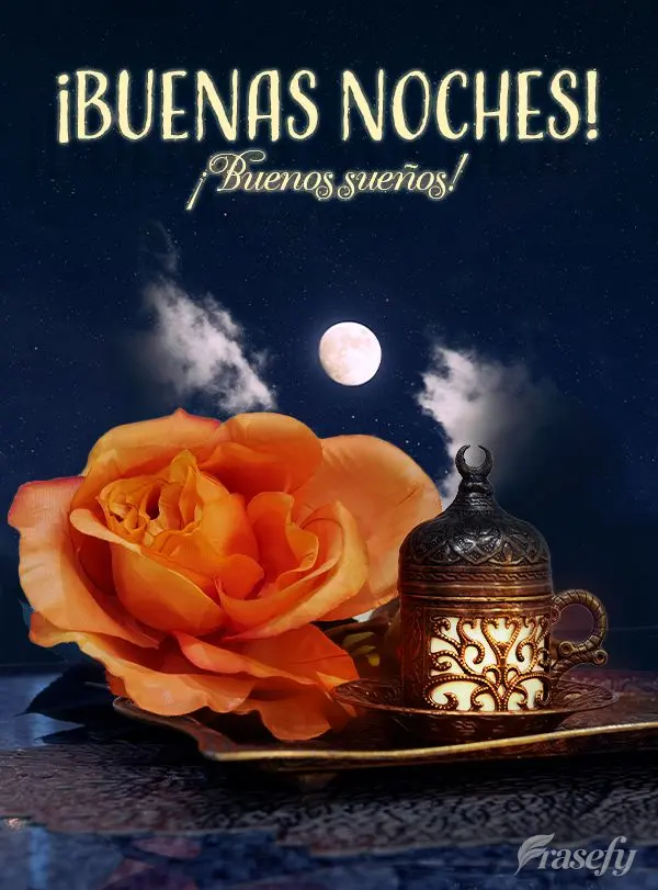 ¡Buenas noches! ¡Buenos sueños!
