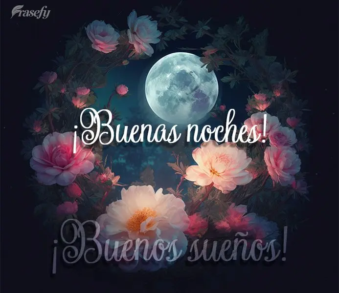 ¡Buenas noches! ¡Buenos sueños!