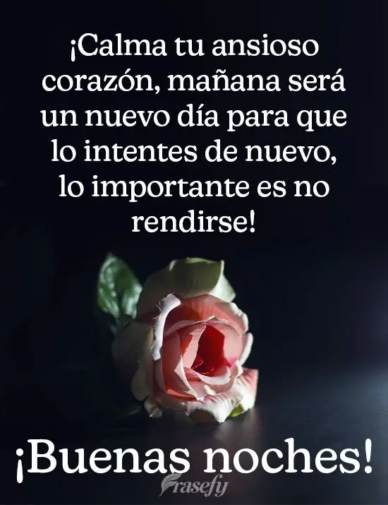 ¡Calma tu ansioso corazón, mañana será un nuevo día para que lo intentes de nuevo, lo importante es no rendirse! ¡Buenas noches!