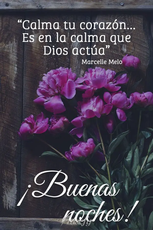 "Calma tu corazón... Es en la calma que Dios actúa". ¡Buenas noches! Marcelle Melo