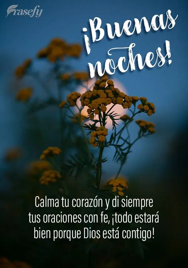 Calma tu corazón y di siempre tus oraciones con fe, ¡todo estará bien porque Dios está contigo! ¡Buenas noches!