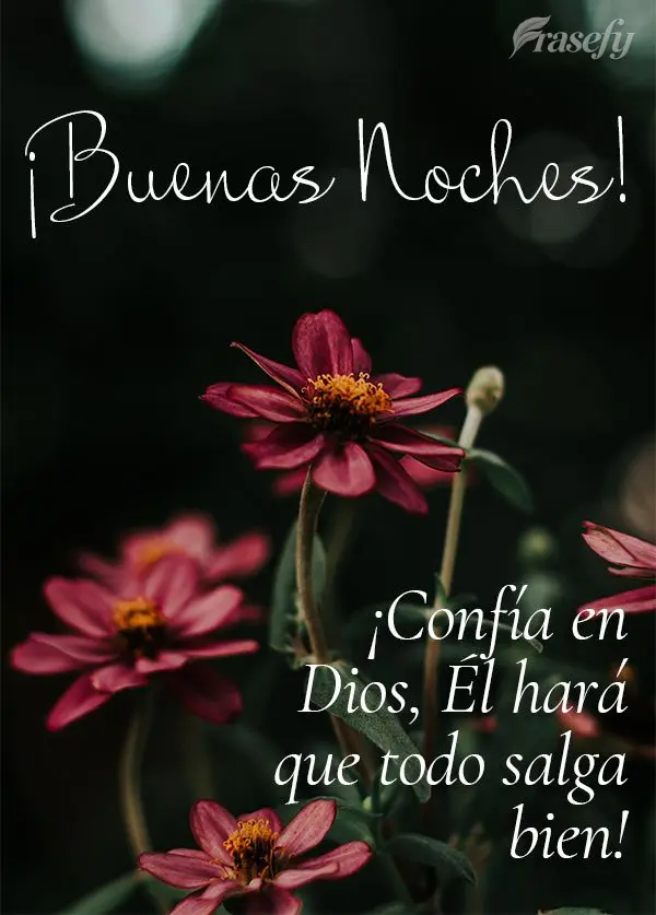 ¡Confía en Dios, Él hará que todo salga bien! ¡Buenas noches!