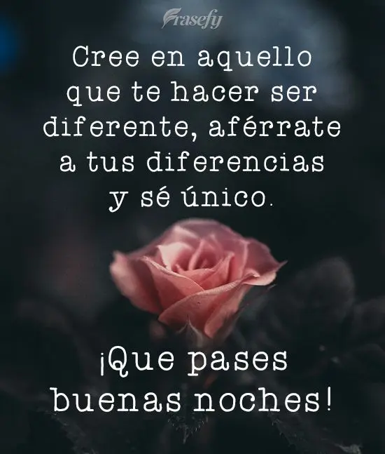 Cree en aquello que te hacer ser diferente, aférrate a tus diferencias y sé único. ¡Que pases buenas noches!