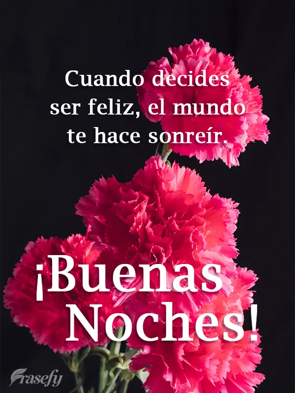 Cuando decides ser feliz, el mundo te hace sonreír. ¡Buenas noches!