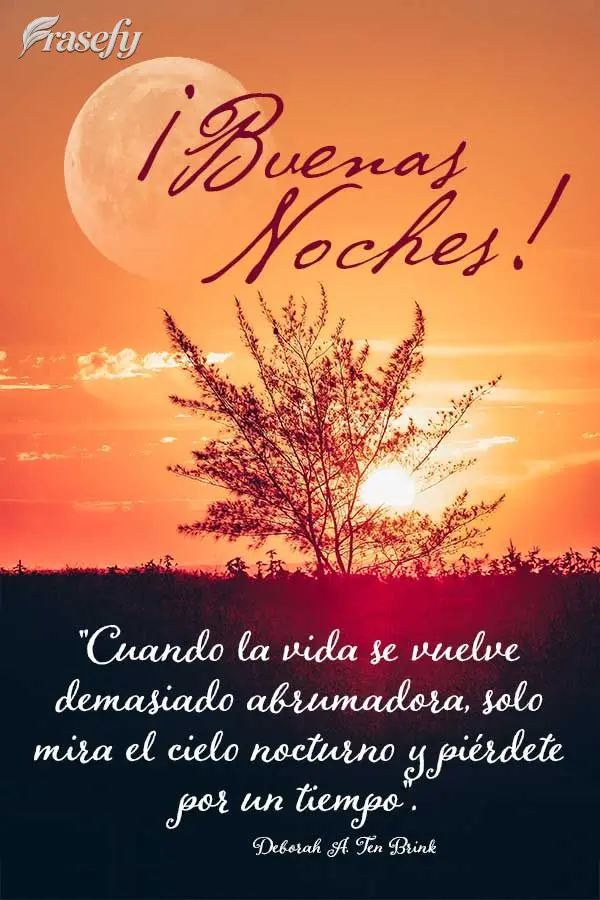 "Cuando la vida se vuelve demasiado abrumadora, solo mira el cielo nocturno y piérdete por un tiempo". ¡Buenas noches! Deborah A.Ten Brink