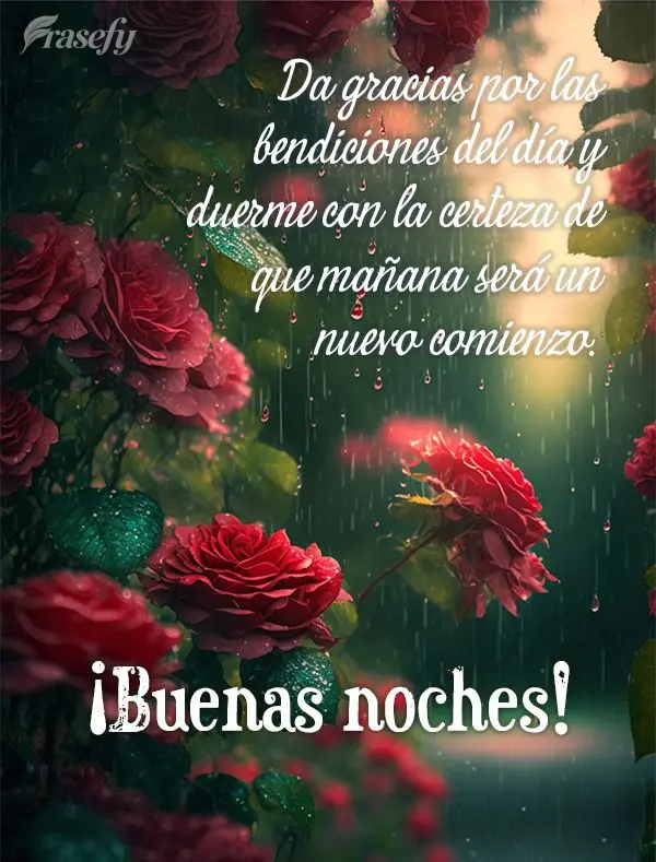 Da gracias por las bendiciones del día y duerme con la certeza de que mañana será un nuevo comienzo. ¡Buenas noches!