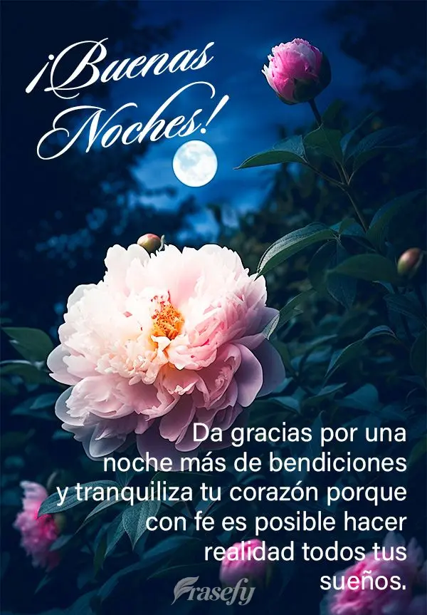 Da gracias por una noche más de bendiciones y tranquiliza tu corazón porque con fe es posible hacer realidad todos tus sueños. ¡Buenas noches!